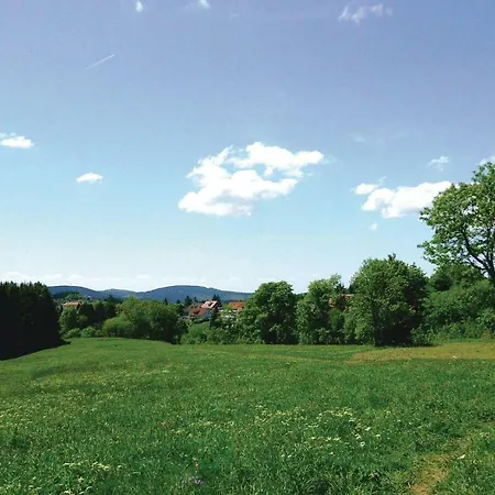 St, Andreasberg, Haus 20 *